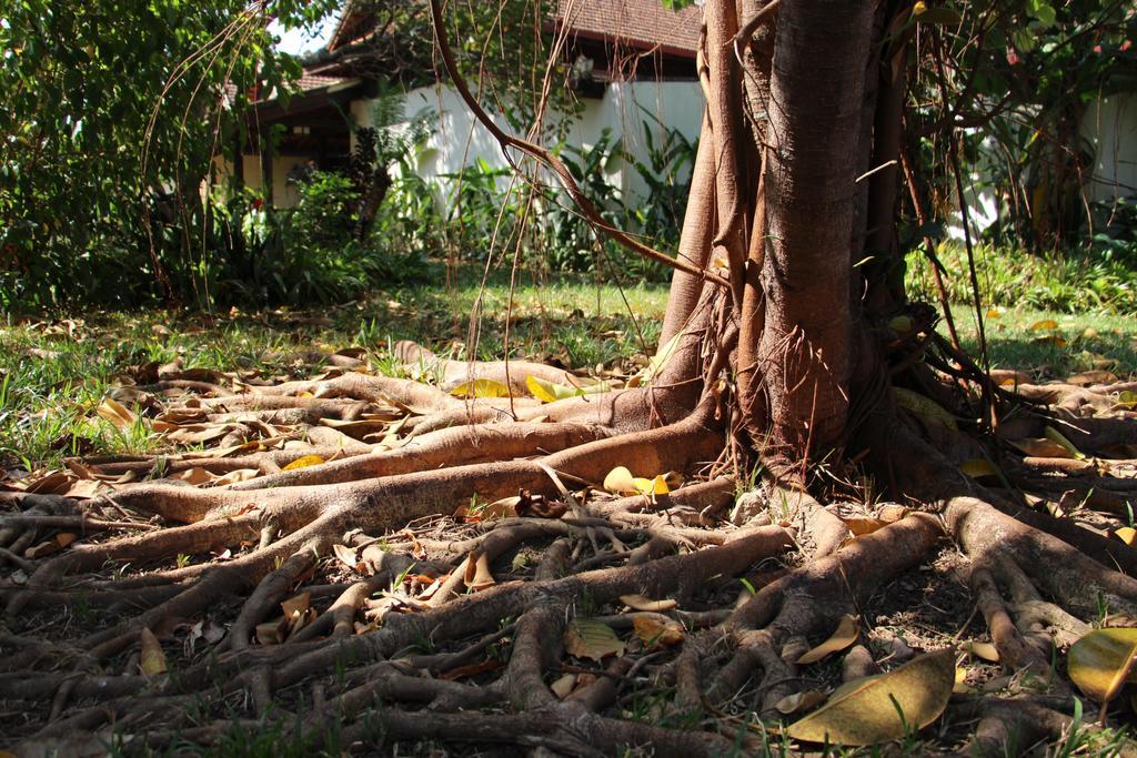 Terres Rouges Lodge Banlung Exterior foto